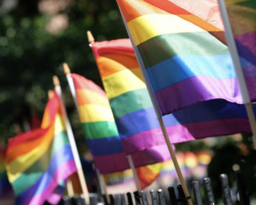 NEW YORK CITY, NY — Rainbow flags lined up at Christopher Park in June 2020, when many Pride events were cancelled due to the pandemic. Photo Credit: Getty Images.